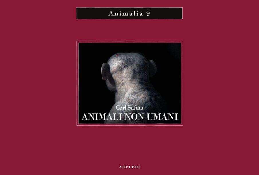 Animali non umani